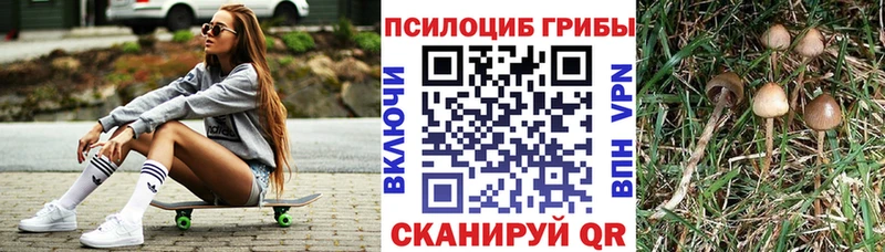 Галлюциногенные грибы GOLDEN TEACHER  Купить  Томск 